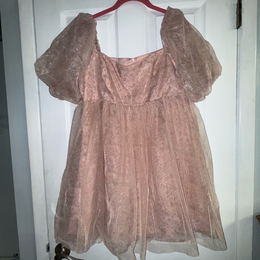 Lush women’s ballon Sleeve Pink Floral mini Dress size‎ XL